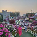 ���� ����, ������������, 58 ��� - ��������� 29 ������ 2024 � ������ ���� ����������