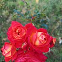 ���� �����, ����������, 51 ��� - ��������� 23 ������� 2023 � ������ ���� ����������