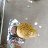 ���� Rehan Bhai, �����������, 19 ��� - ��������� 21 ��� 2026