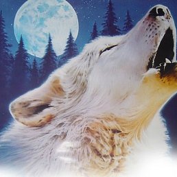 V.e.n., �����������, 30 ���