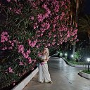 ���� ������, ������ - ��������� 30 ���� 2026 � ������ ���� ����������