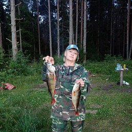 ���� �������, ���������, 57 ��� - ��������� 29 ������ 2025