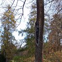 ���� ���������, �����-��������� - ��������� 22 ������� 2025 � ������ ���� ����������