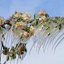 ���� ����, �����������, 75 ��� - ��������� 2 ������ 2023 � ������ ������ ��������