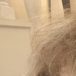 �����, ���������, 59 ���