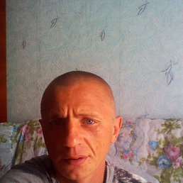 ���������, 40 ���, ����