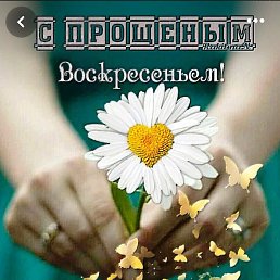 ��������� ��������, ������, 38 ���