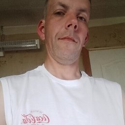 , 41,  