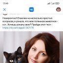  , -, 45  -  17  2024    