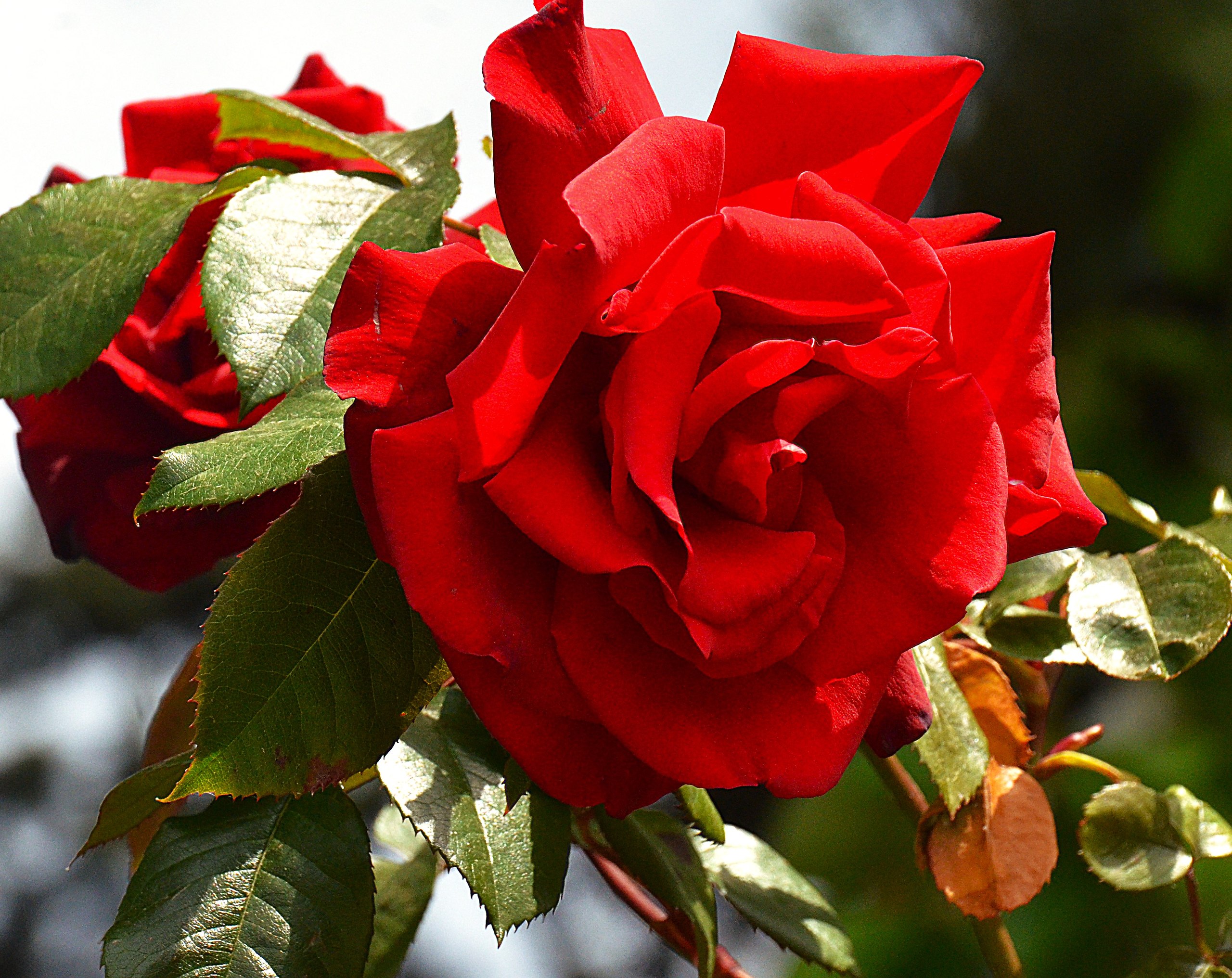 Aleksandr Voznii - 27  2025  07:55 - 3