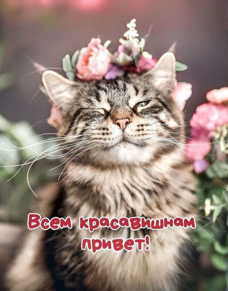 �� ����� ������! - 8 ���� 2026 � 18:28