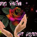 ���� ���������, �����-��������� - ��������� 29 ���� 2026 � ������ ���� ����������