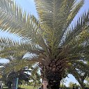 �������. ���� 2025 �� ������� ���� ����������