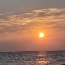 ���� �������, �������, 51 ��� - ��������� 22 ���� 2024 � ������ ���� ����������