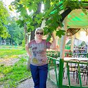 ���� �����, ������ ��������, 51 ��� - ��������� 15 ���� 2026 � ������ ���� ����������