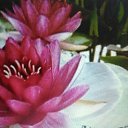 ���� �����, ���������, 70 ��� - ��������� 20 ������ 2024