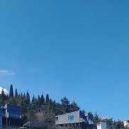 �����, 57 ���, ����