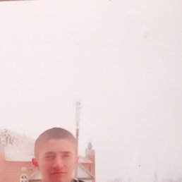 , 37, 