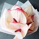 ���� �����, ������� - ��������� 27 ���� 2025 � ������ ���� ����������