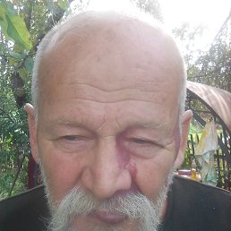 , 53, 