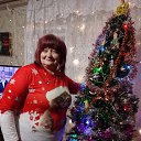 ���� ��������, ������������, 51 ��� - ��������� 21 ���� 2026 � ������ ���� ����������