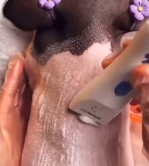 � �� ������ �������� ����� �����... - 2