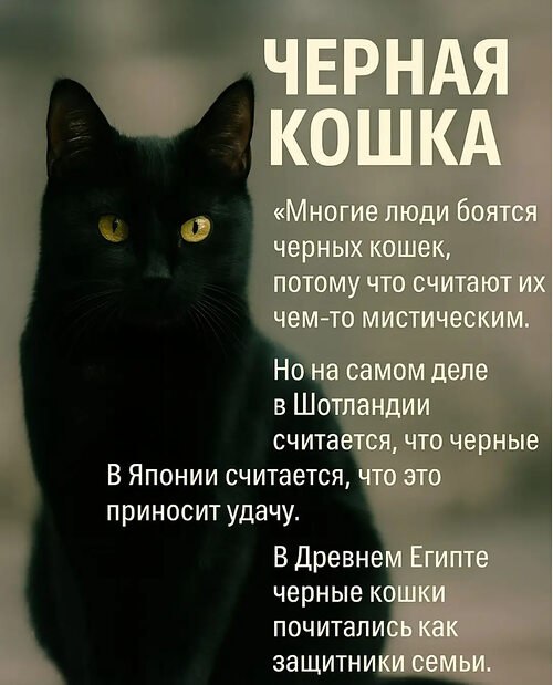 �� ����� ������! - 18 ������ 2025 � 13:01