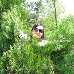 ���, �����-���������, 51 ���