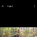 ���� ���������, ��������, 65 ��� - ��������� 28 ������� 2026