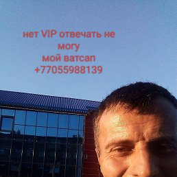 , 45 , 