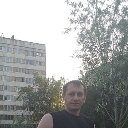 , 39, 