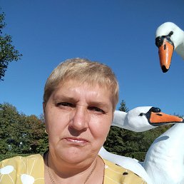  , 53, -