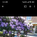 ���� Timur, �������, 48 ��� - ��������� 8 ���� 2024 � ������ ���� ����������
