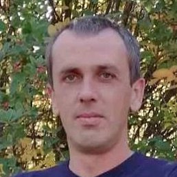 ����, �����, 36 ���