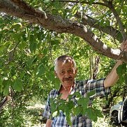 ������, 64 ����, �������