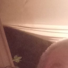 �����, �������, 66 ���