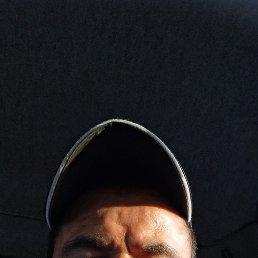����, 41 ���, ������