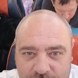 , 51, 