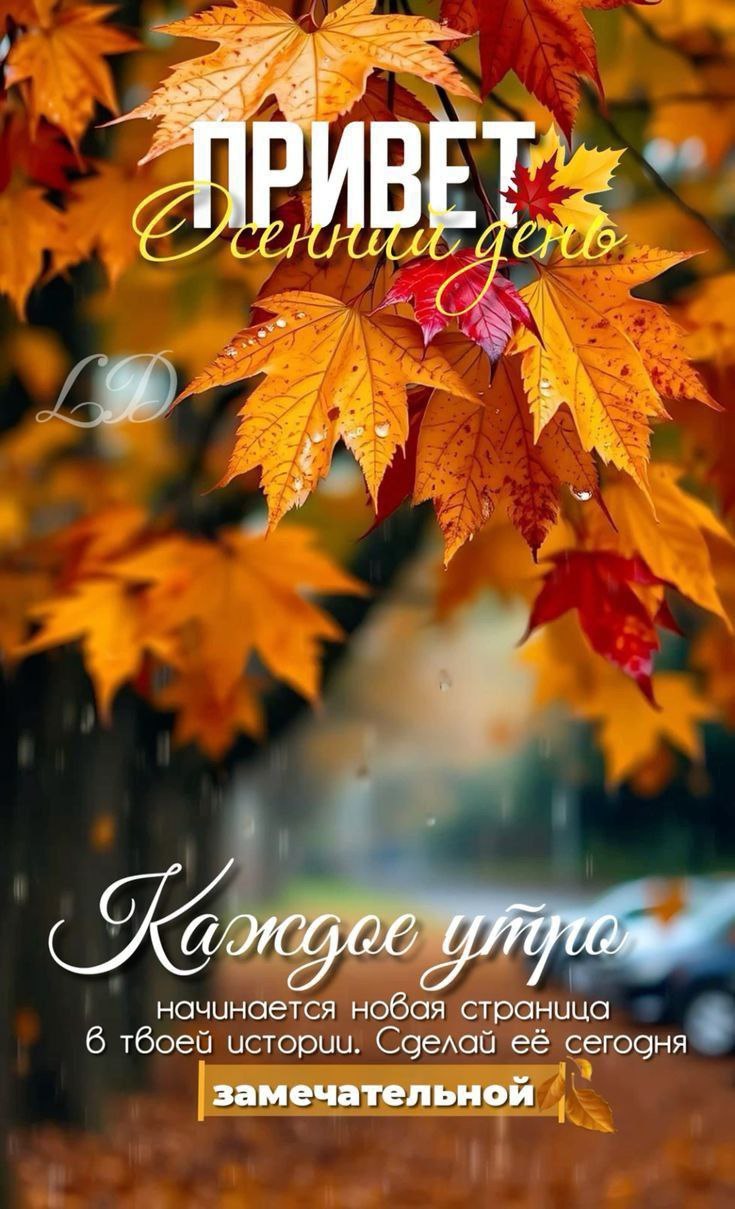������ - 25 �������� 2025 � 13:58