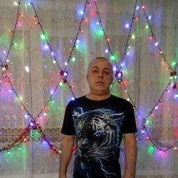 , 50, 