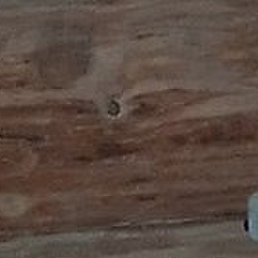 ��������, ���������, 56 ���