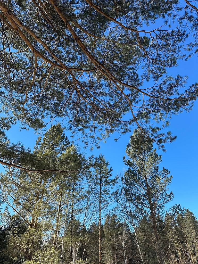 �ec������a a�ac��. ������� �o����, �paco�a �ec�o�o �apc��a. �ap�ca e���e�a - 3