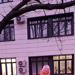 �����, 40 ���, ����