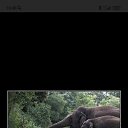 ���� ������, ������, 46 ��� - ��������� 10 ������ 2024 � ������ ���� ����������