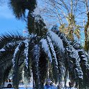 ���� �� ������� ���� ����������