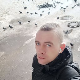 ���� �����, �������, 40 ��� - ��������� 4 ������ 2024