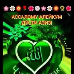 ������������, ������, 28 ���