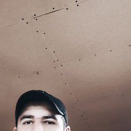 , 29, 