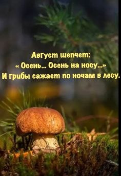 ������������� ���� - 3 ������� 2024 � 10:31