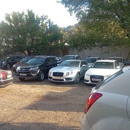 ������, �����������